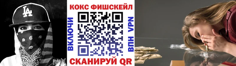 КОКАИН 97%  мега как зайти  Жиздра  закладка 